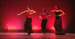 *Flamenco Show